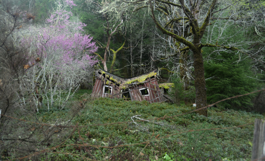 Mendocino house